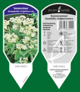 BYLINY-ŚWIERK bitki fidanlığı uzun ömürlü bitkiler otlar eğrelti otları Polonya 06